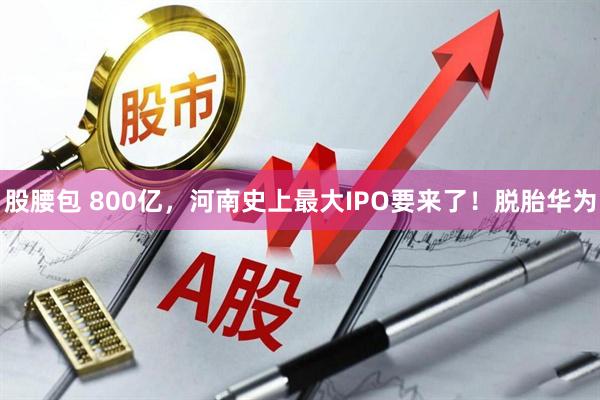 股腰包 800亿，河南史上最大IPO要来了！脱胎华为