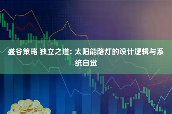 盛谷策略 独立之道: 太阳能路灯的设计逻辑与系统自觉