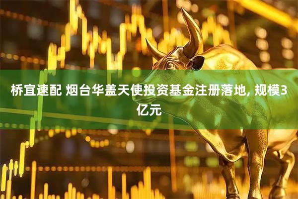 桥宜速配 烟台华盖天使投资基金注册落地, 规模3亿元